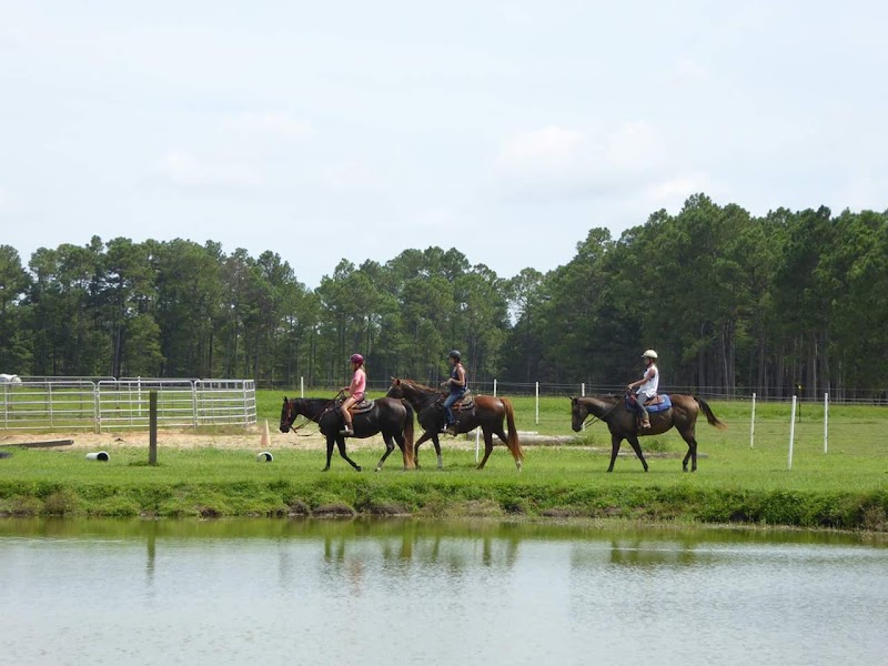 Roberts' Ranch - Photo 5