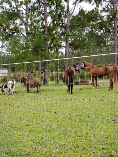 Roberts' Ranch - Photo 4