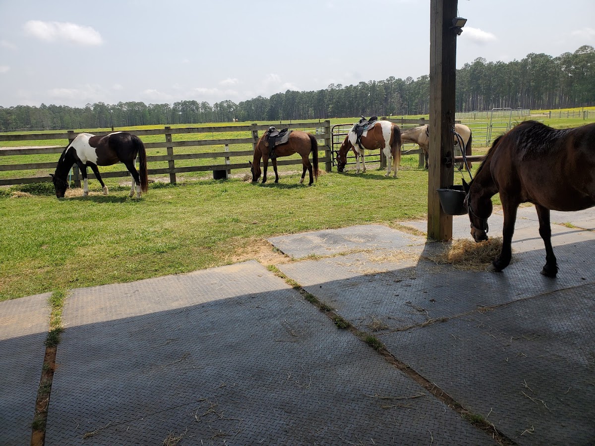 Roberts' Ranch