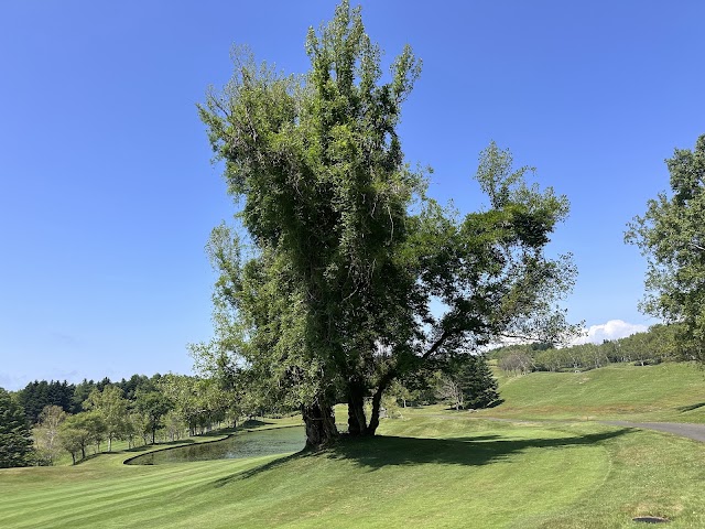 Chateraise Country Club Masari Cup - Photo 5