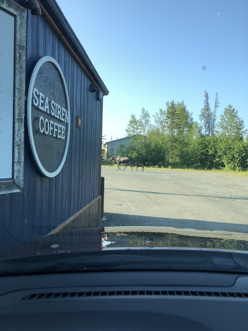 Sea Siren Coffee INC photo 3