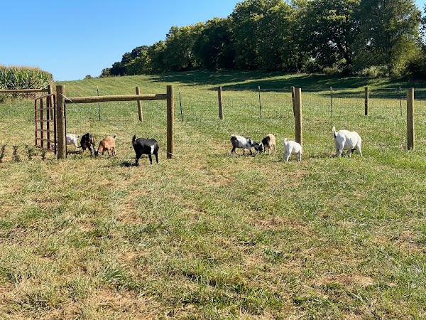 Photo by Malins Red Barn & Family Farm