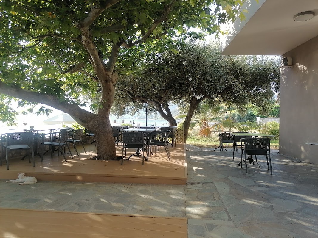 Anemoia Greek Restaurant - πιάτο 5