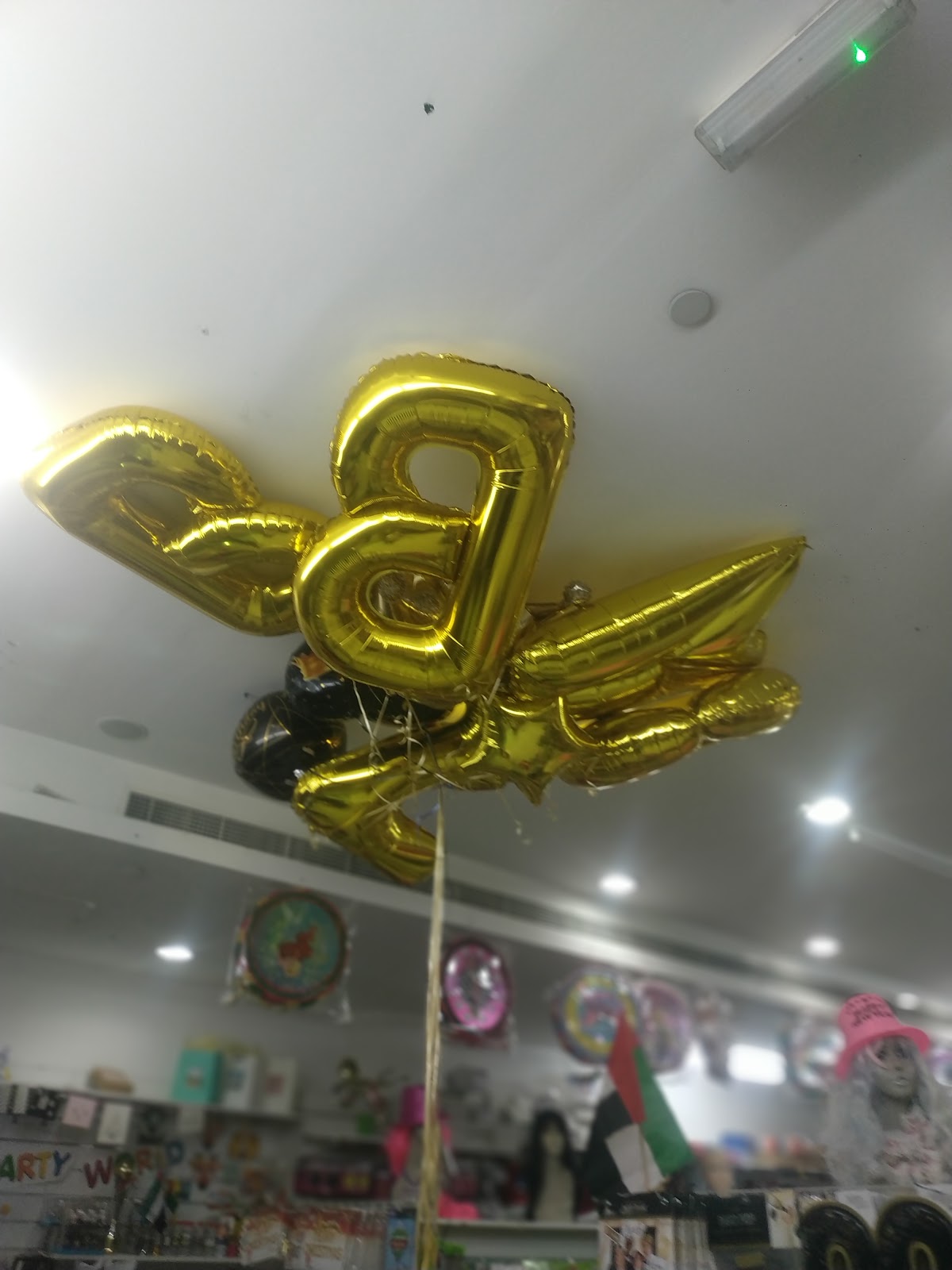 Party Hall 3