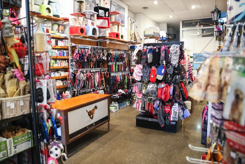 Centre Caní Còrsega