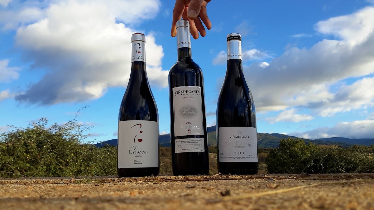 Bodega Martínez Yebra