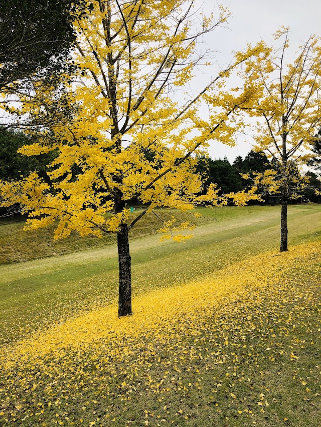 Miyakonojo Mochioka Country Club - Photo 10
