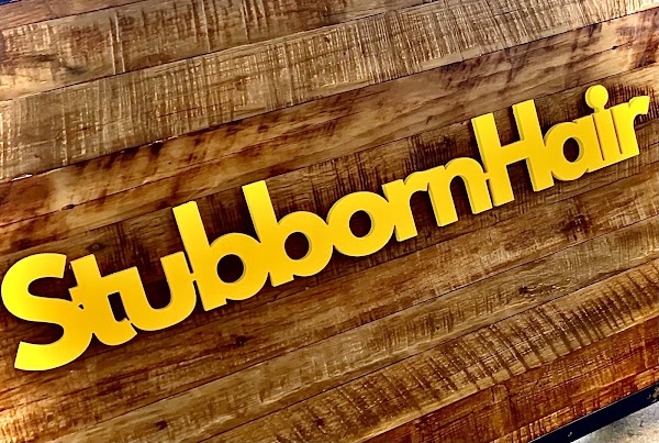 Stubborn Hair portfolio