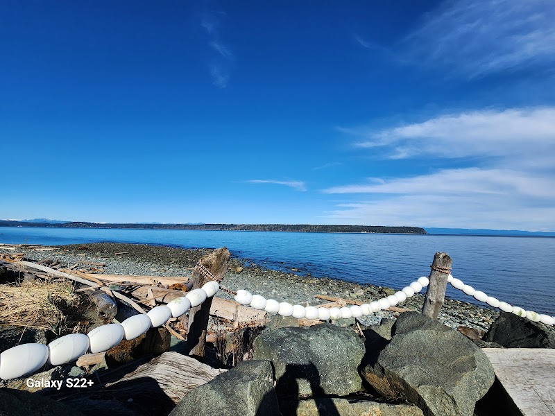 FoggDukkers Coffee and Roasting photo 4