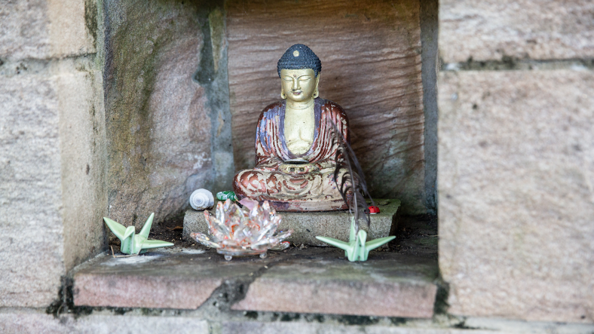 The Mindful Yoga School — 4