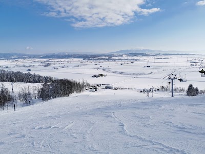 ASHIMOI KANKO Takaho Ski Area - 1