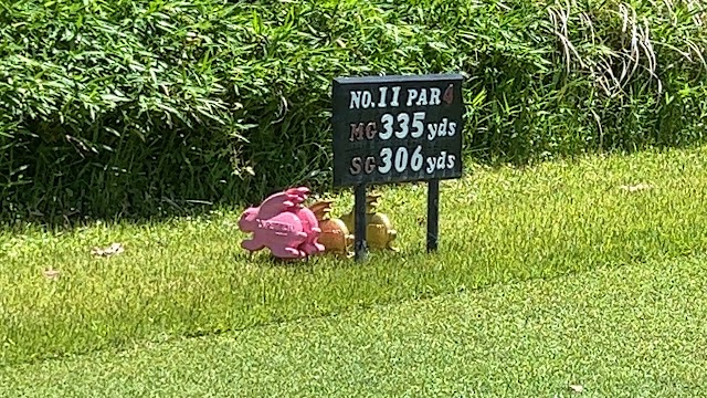 Sanage Country Club - Photo 8