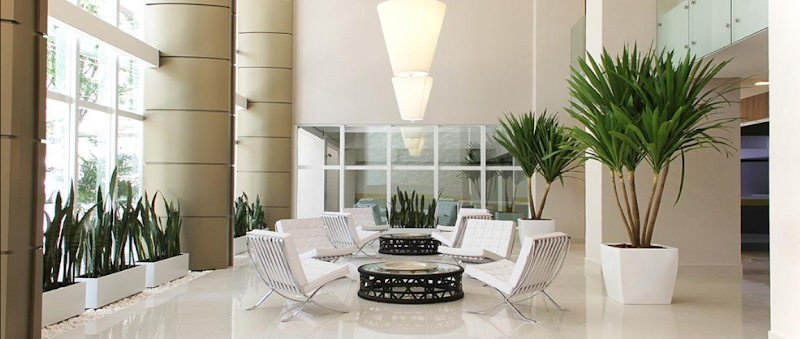 Dra. Sara Salvação | Dentista - Invisalign e Ortodontia | Clínica geral - foto 3