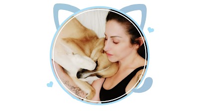 פנסיון ביתי לכלבים - בבית של מאמא שירלי