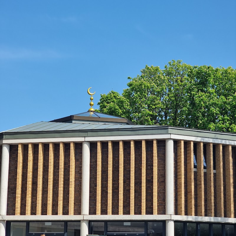 Mosque El-Hijra photo 4