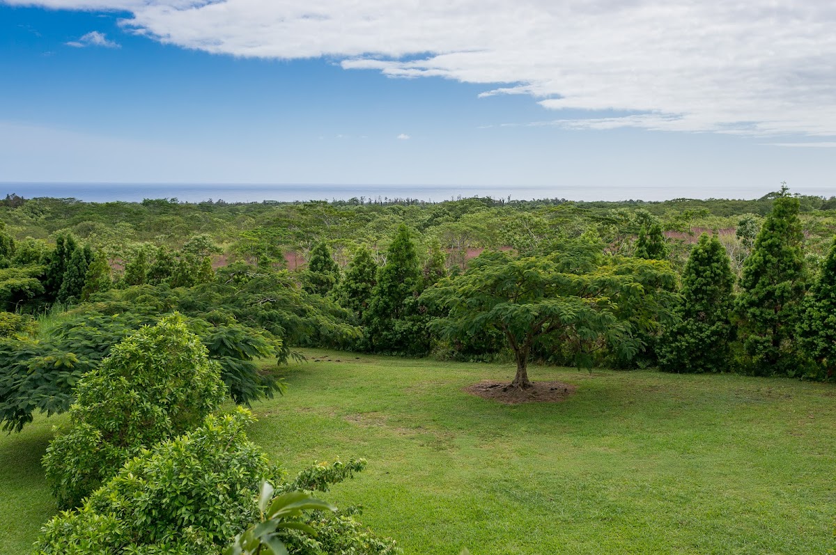 Your Hawaiian Retreat — 3