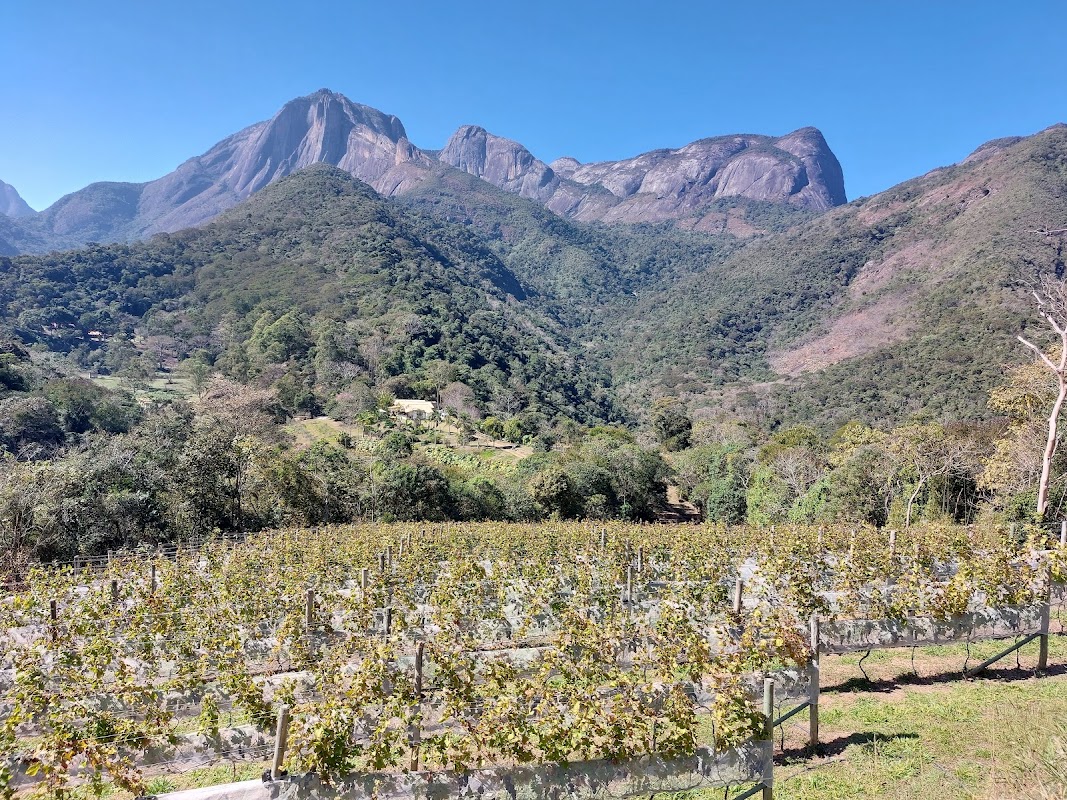 Fattoria Vinhas Altas