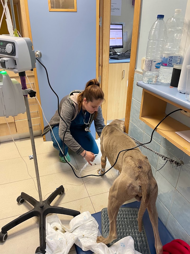 Clínica Veterinaria Albeitar Centro