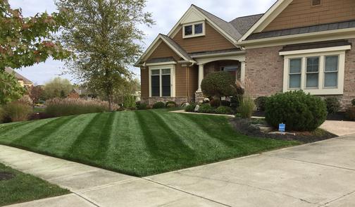 Foley's Lawn Care