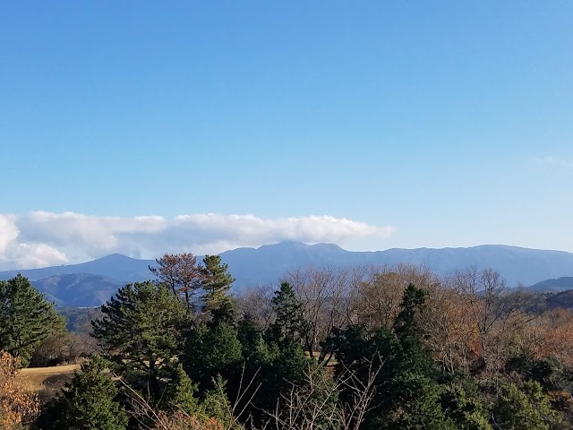 Izu International Country Club - Photo 7