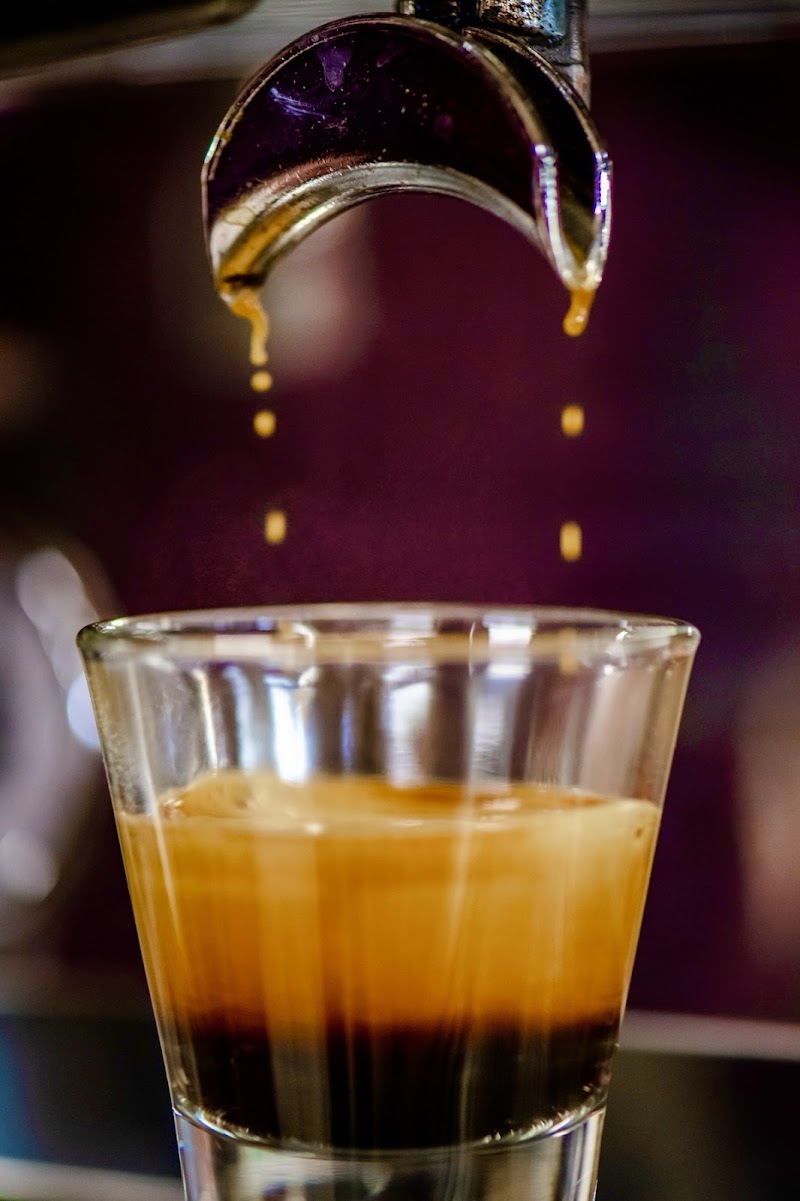 Palatka Coffee Co. photo 4