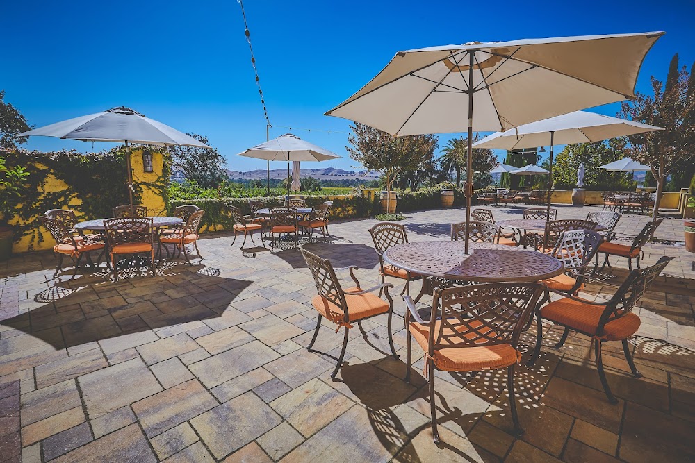 Las Positas Vineyards photo