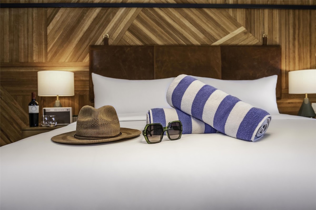 Calistoga Motor Lodge & Spa, dog-friendly hotel, photo 4