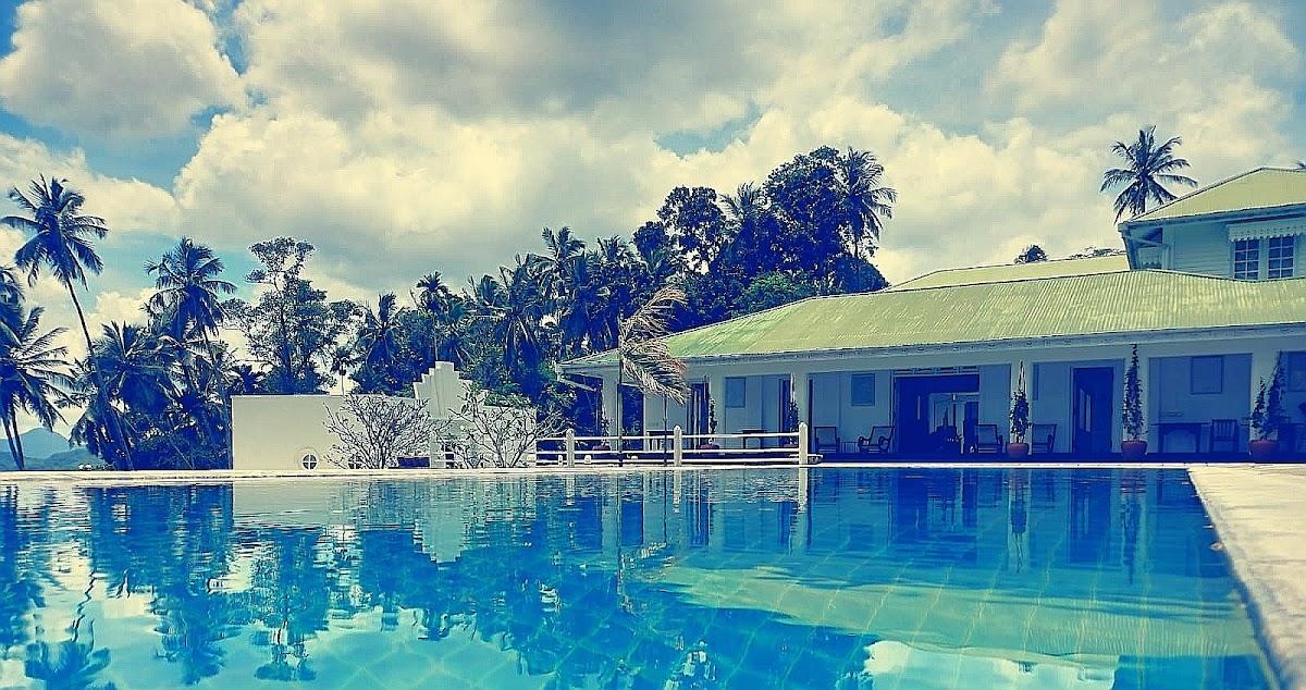 The Flame Tree Estate & Hotel — 4