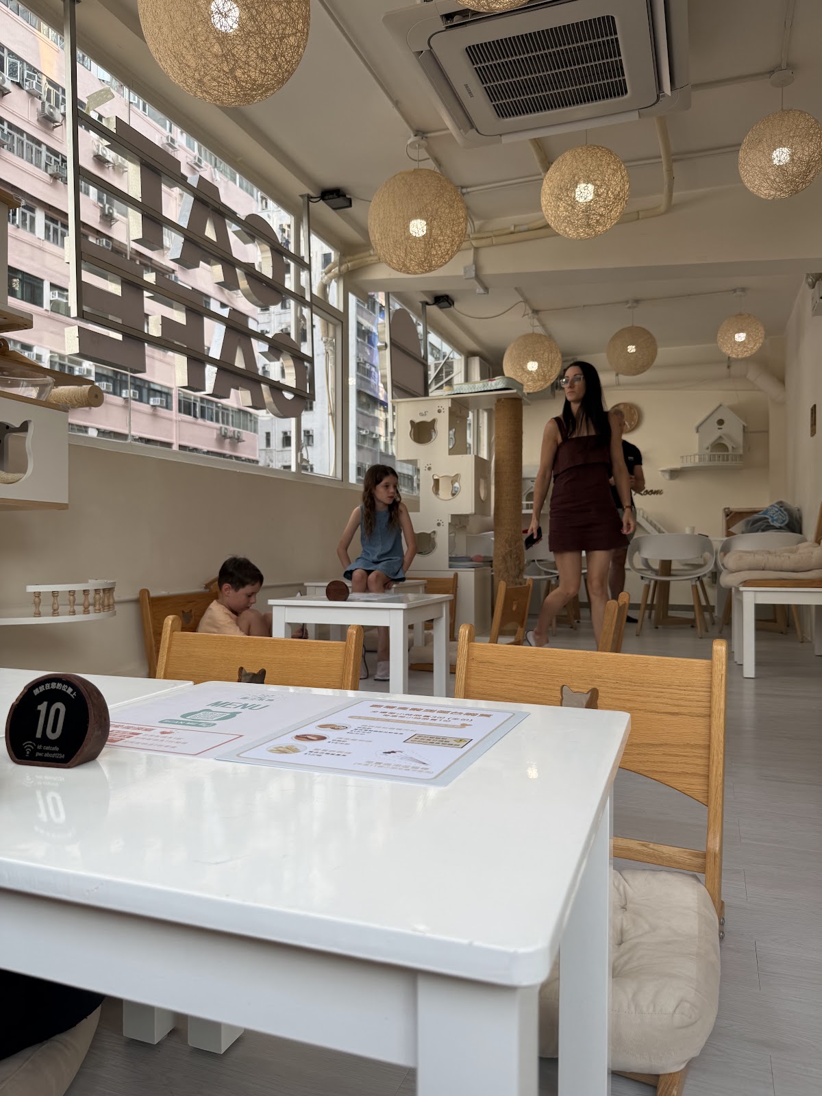 Cats Tea Room photo 5