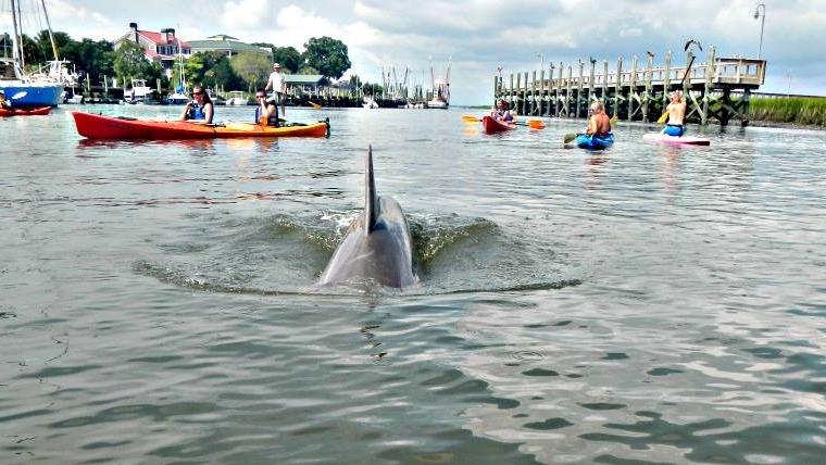 Red's Ice House photo 4