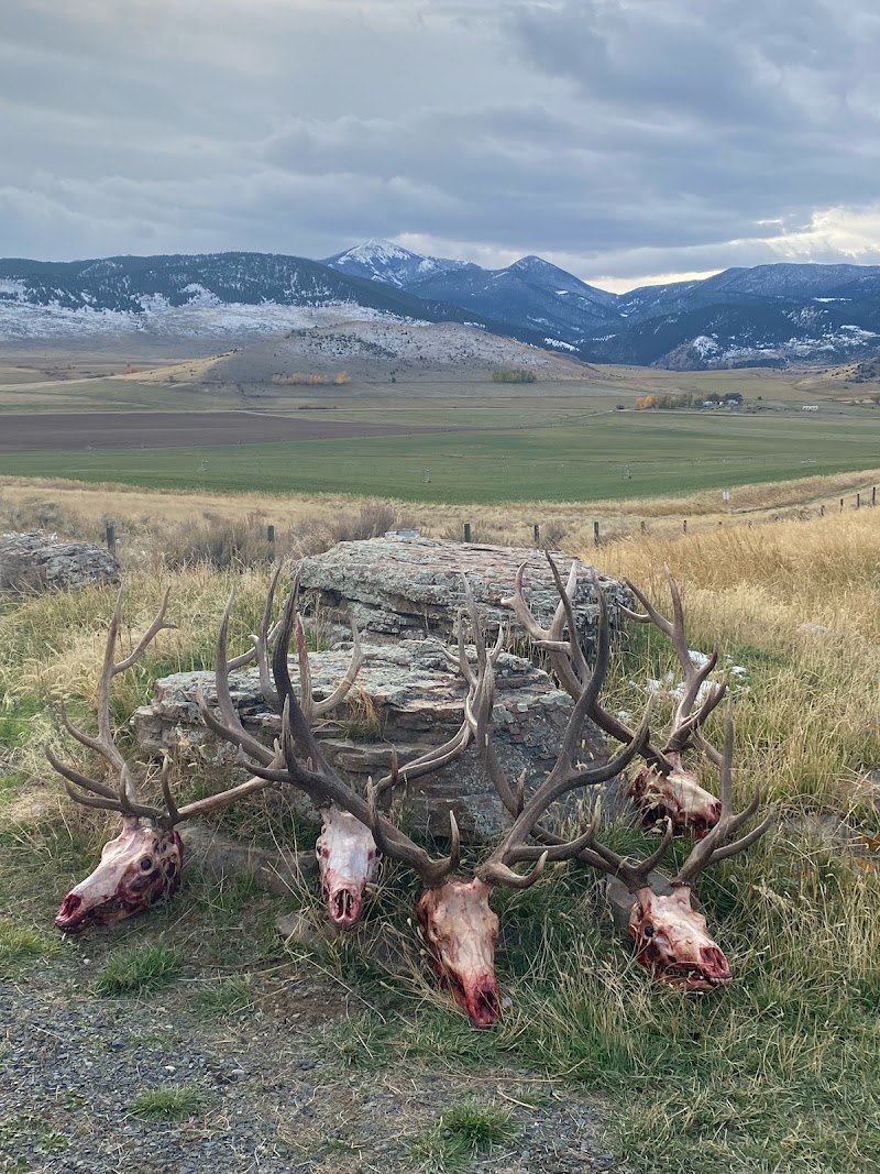 Montana Trophy Outfitters - Photo 2