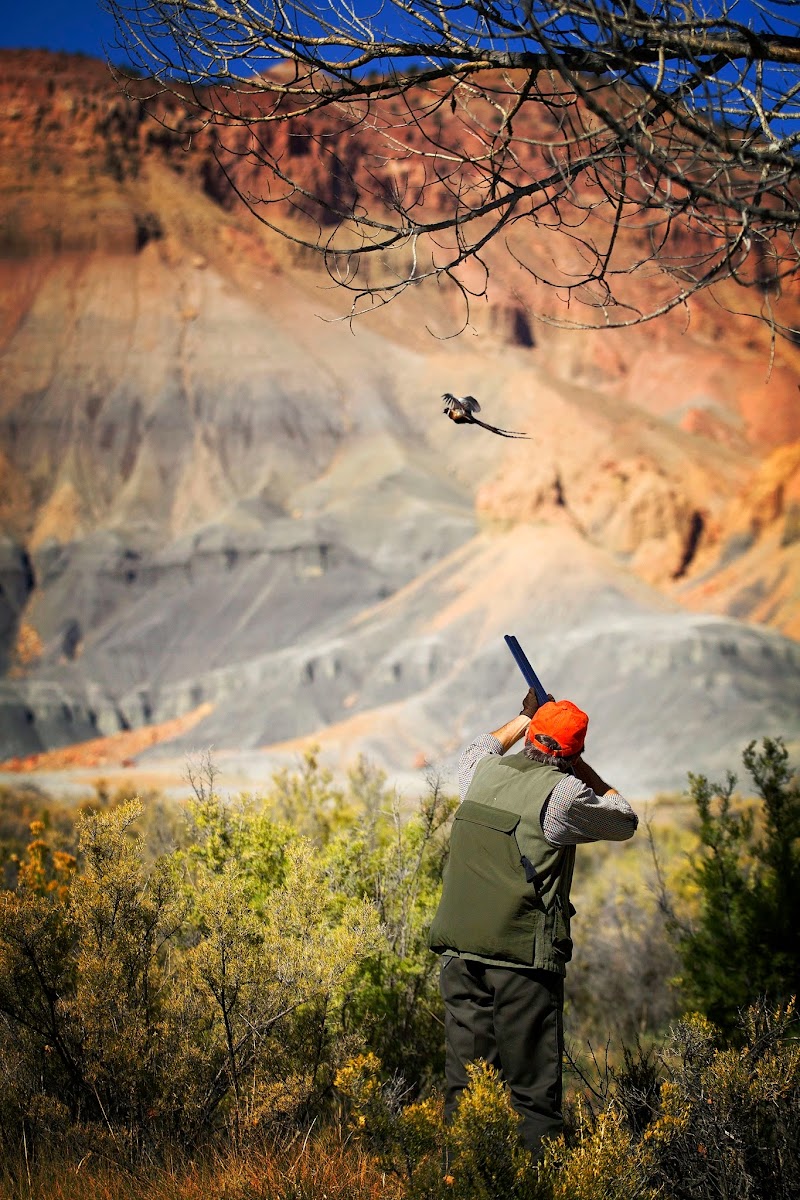 Castle Valley Outdoors - Photo 3