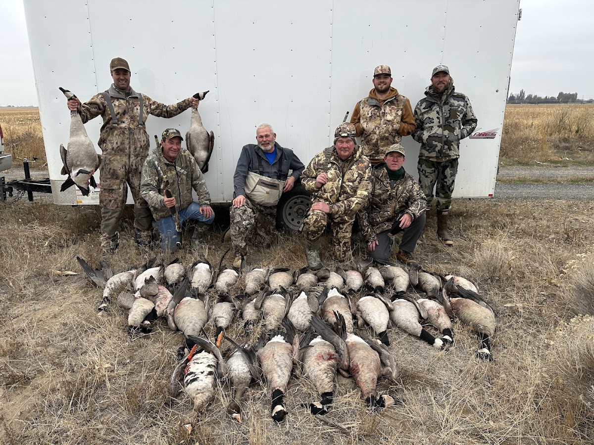 North Flight Waterfowl