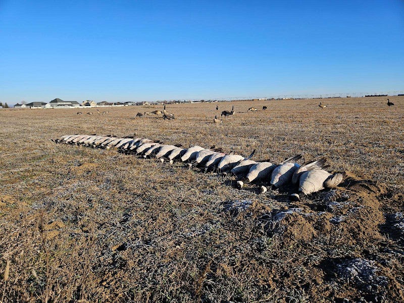 North Flight Waterfowl - Photo 2