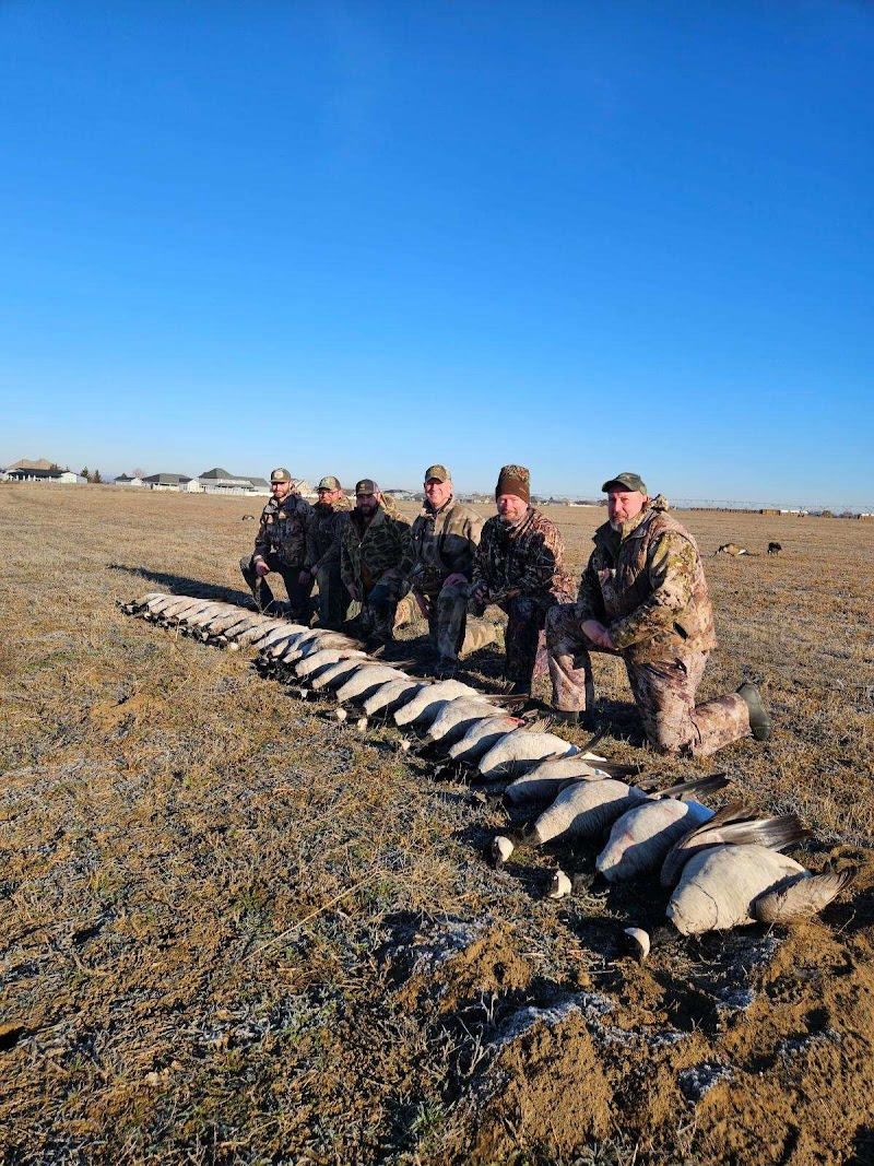 North Flight Waterfowl - Photo 5