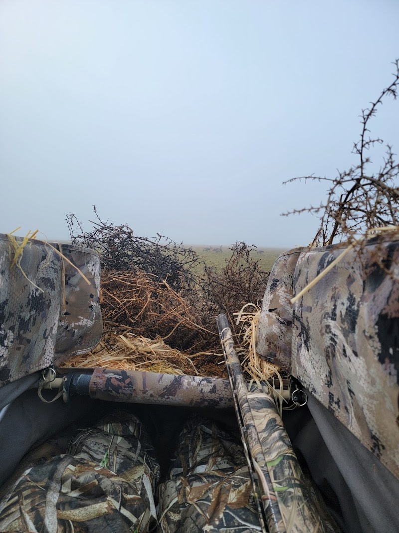 North Flight Waterfowl - Photo 4