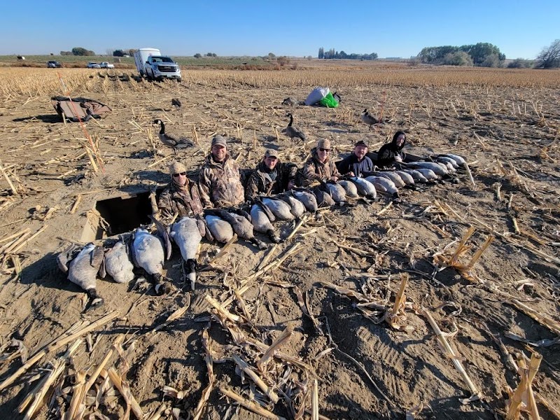 North Flight Waterfowl - Photo 1