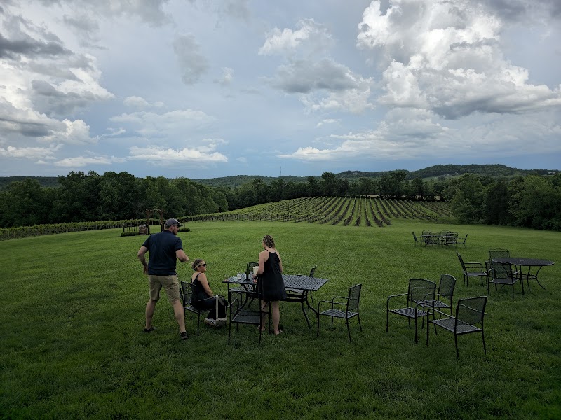 Noboleis Vineyards photo 2