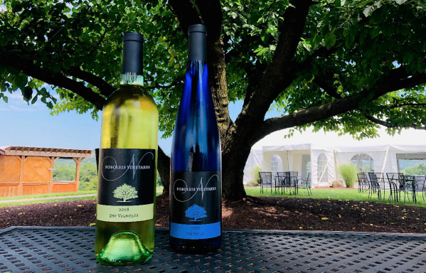 Noboleis Vineyards photo 3