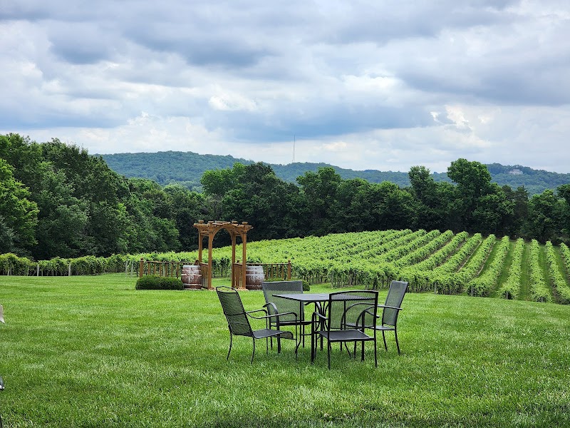 Noboleis Vineyards photo 2
