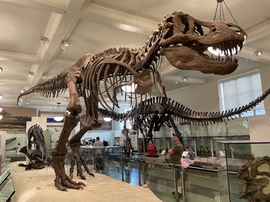 American Museum of Natural History fotoğraf 1