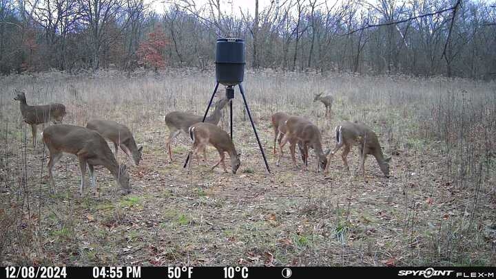 BackCountry Whitetails LLC - Photo 5