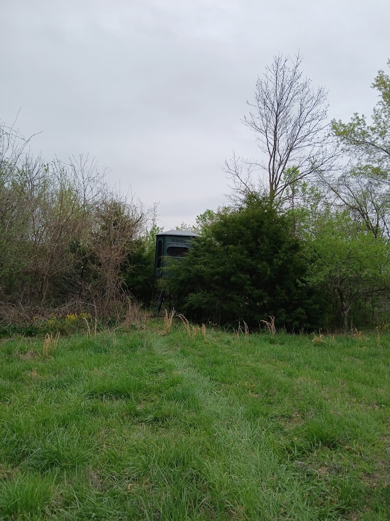 BackCountry Whitetails LLC - Photo 1