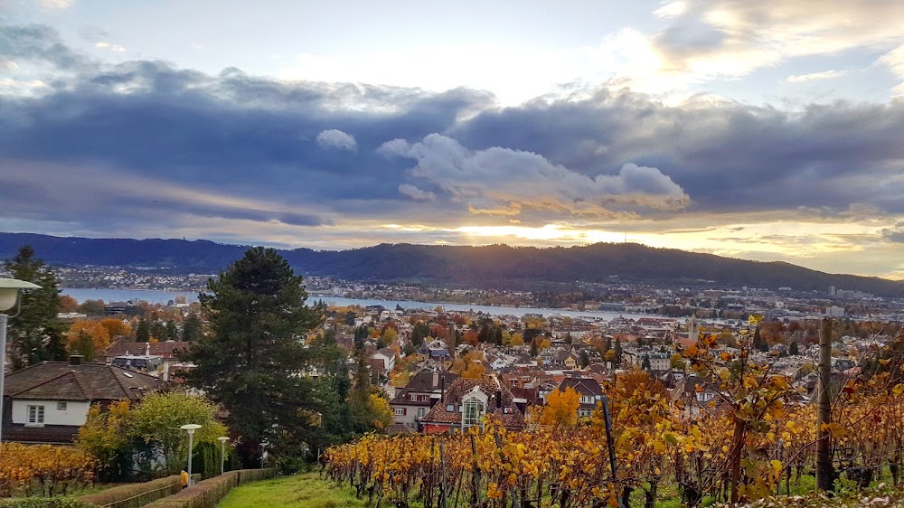 Park Sonnenberg fotoğraf 1