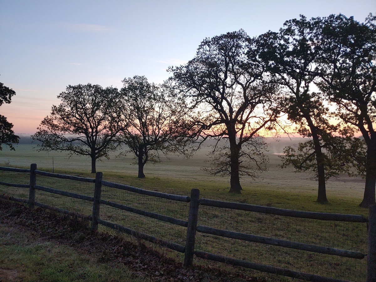 Banks Valley Guest Ranch