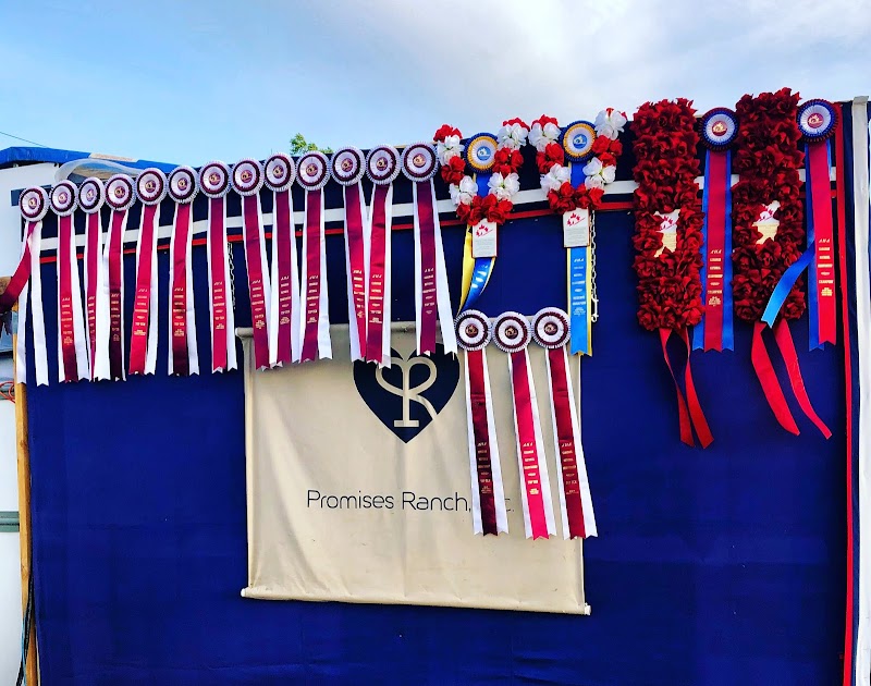 promises ranch llc