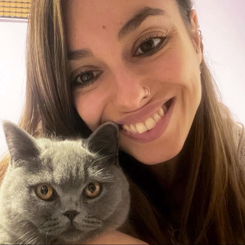 Cat Sitter Barcelona | Hotel de Gatos | Alojamiento para Gatos | Residencia Felino| Guarderia de Gatos