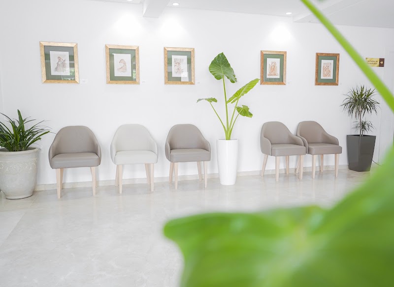 Gallery 5