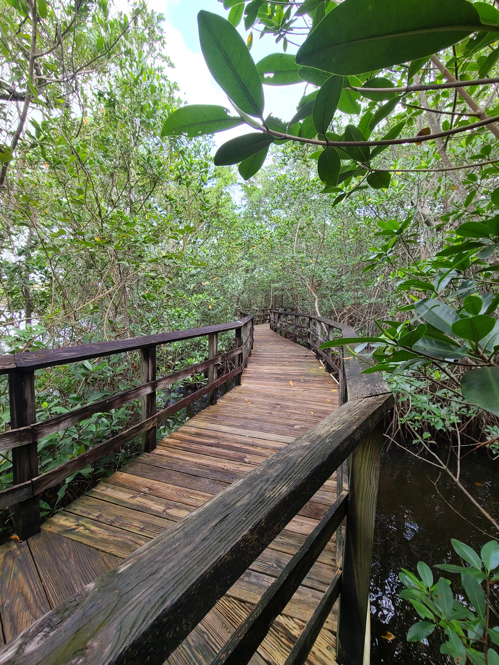 Secret Woods Nature Center