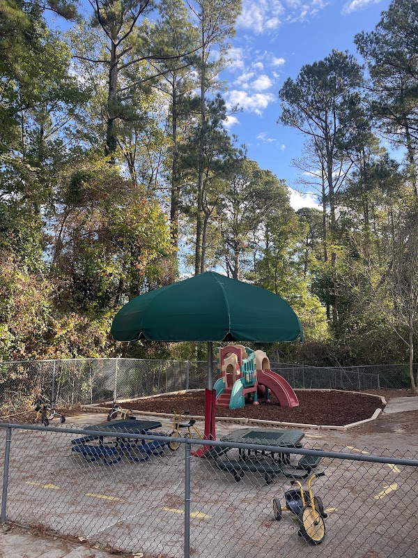 NewGen Mulch & Stone LLC project 2